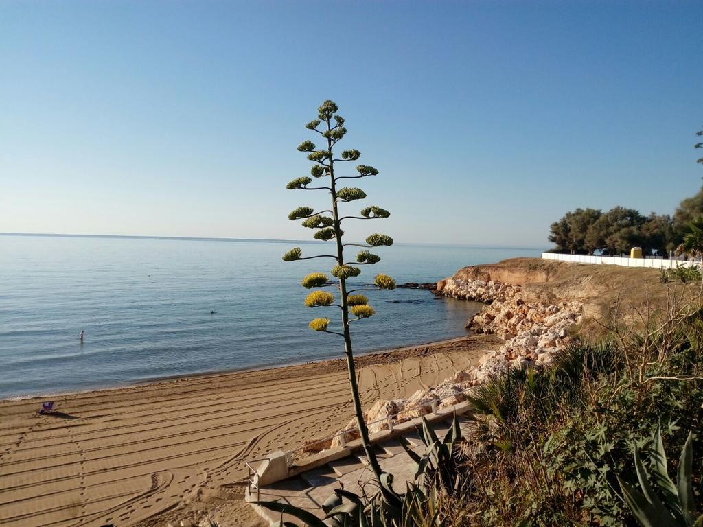 Villa Del Mar 阿沃拉 外观 照片