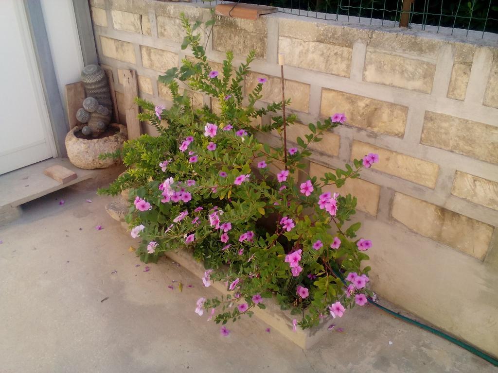Villa Del Mar 阿沃拉 外观 照片
